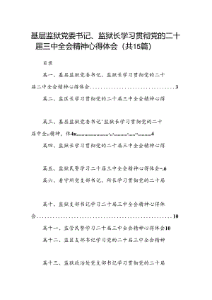 （15篇）基层监狱党委书记、监狱长学习贯彻党的二十届三中全会精神心得体会汇编.docx