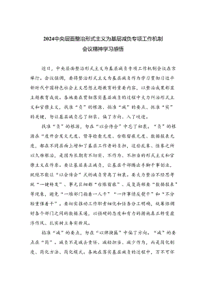 中央层面整治形式主义为基层减负专项工作机制会议精神学习感悟7篇（精选版）.docx