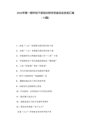 2024年第一期年轻干部培训班学员座谈会发言汇编（13篇）.docx