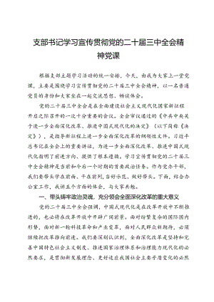 支部书记学习宣传贯彻党的二十届三中全会精神党课.docx