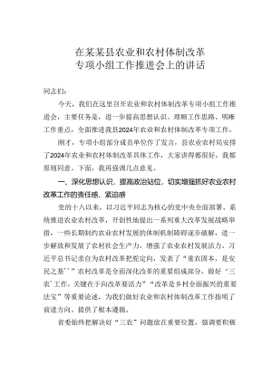 在某某县农业和农村体制改革专项小组工作推进会上的讲话.docx