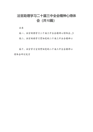 （10篇）法官助理学习二十届三中全会精神心得体会（详细版）.docx