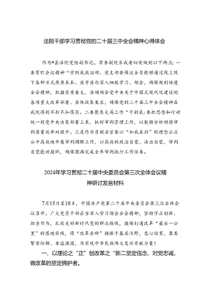 （8篇）法院干部学习贯彻党的二十届三中全会精神心得体会（精选）.docx