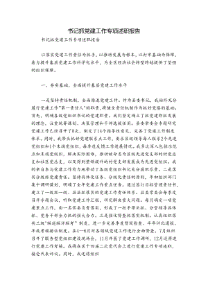 书记抓党建工作专项述职报告.docx