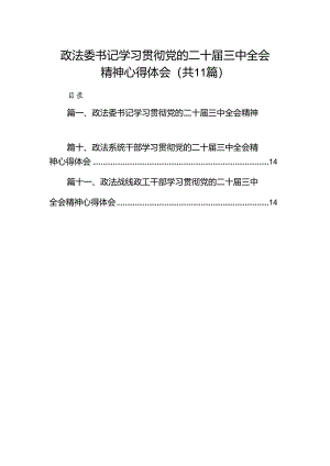 （11篇）政法委书记学习贯彻党的二十届三中全会精神心得体会（详细版）.docx
