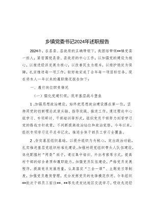 乡镇党委书记2024年述职报告.docx