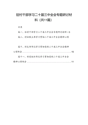 （11篇）驻村干部学习二十届三中全会专题研讨材料范文.docx