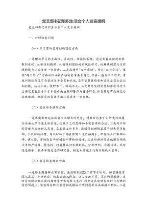 党支部书记组织生活会个人发言提纲.docx