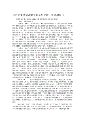 公司党委书记2024年抓基层党建工作述职报告.docx