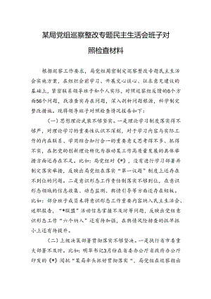 某局党组巡察整改专题民主生活会班子对照检查材料.docx