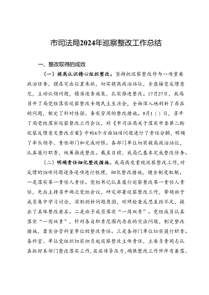 市司法局2024年巡察整改工作总结.docx