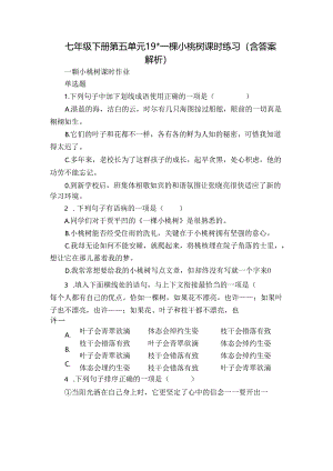 七年级下册 第五单元 19-一棵小桃树 课时练习（含答案 解析）.docx