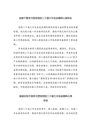 （9篇）巡察干警学习贯彻党的二十届三中全会精神心得体会（详细版）.docx