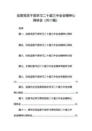 （11篇）巡察党员干部学习二十届三中全会精神心得体会（最新版）.docx