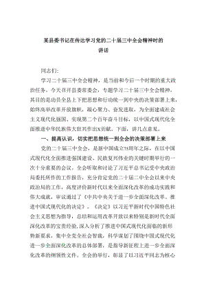 （11篇）某县委书记在传达学习党的二十届三中全会精神时的讲话范文.docx