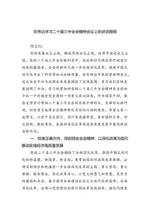 （7篇）在传达学习二十届三中全会精神会议上的讲话提纲（详细版）.docx
