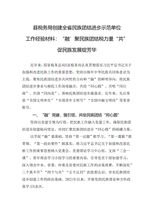 县税务局创建全省民族团结进步示范单位工作经验材料：“融”聚民族团结税力量+“共”促民族发展绽芳华.docx