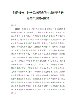 辅导报告：健全风腐同查同治机制坚决斩断由风及腐利益链.docx
