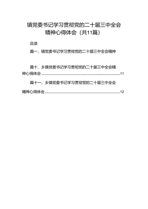 （11篇）镇党委书记学习贯彻党的二十届三中全会精神心得体会资料汇编.docx