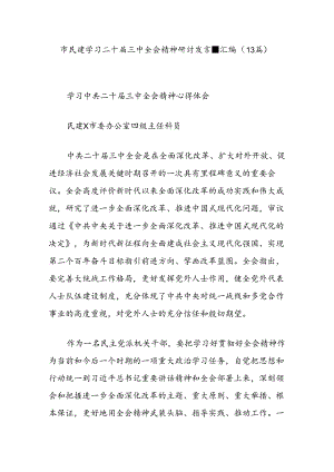 (13篇)市民建学习二十届三中全会精神研讨发言汇编.docx