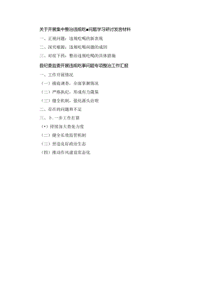 关于开展集中整治违规吃喝问题学习研讨发言材料两篇精选.docx