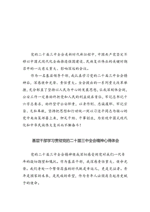 基层领导干部学习贯彻党的二十届三中全会精神心得体会5篇供参考.docx