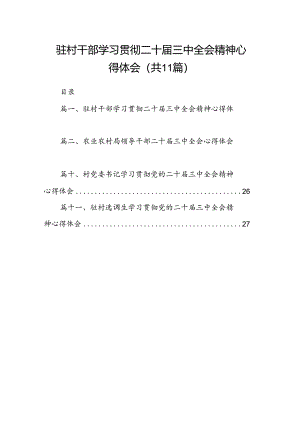 （11篇）驻村干部学习贯彻二十届三中全会精神心得体会范文.docx