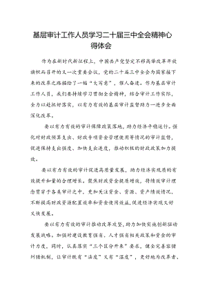 (5篇)基层审计工作人员学习二十届三中全会精神心得体会范文.docx