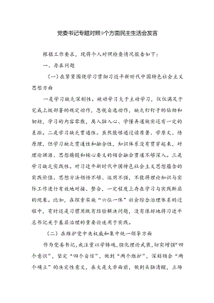 党委书记个人对照9个方面民主生活会检查情况报告发言材料（维护党中央权威和集中统一领导、践行宗旨服务人民、求真务实狠抓落实等九个方面）.docx