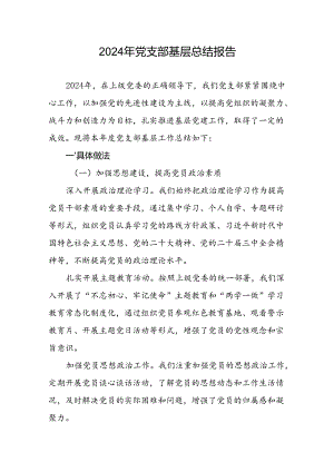 2024年度基层党支部工作总结报告汇报.docx