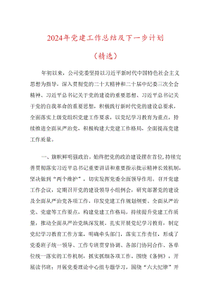 2024年党建工作总结及下一步计划（精选）.docx