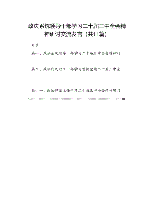 （11篇）政法系统领导干部学习二十届三中全会精神研讨交流发言（详细版）.docx