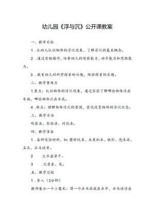 幼儿园《浮与沉》公开课教案.docx