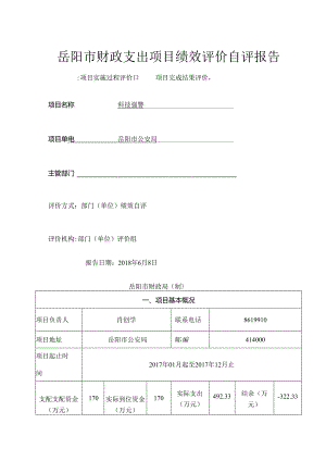 岳阳财政支出项目绩效评价自评报告.docx