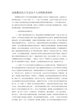 巡视整改民主生活会个人对照检查材料.docx