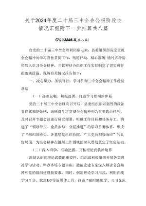 关于2024年度二十届三中全会公报阶段性情况汇报附下一步打算共八篇.docx