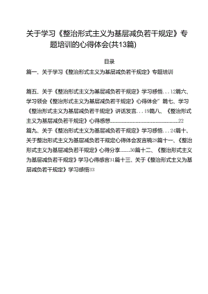 （13篇）关于学习《整治形式主义为基层减负若干规定》专题培训的心得体会专题资料.docx