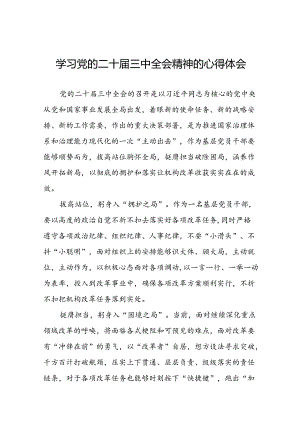 2024年二十届三中全会精神学习体会31篇.docx