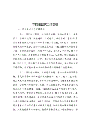 市防汛救灾工作总结.docx