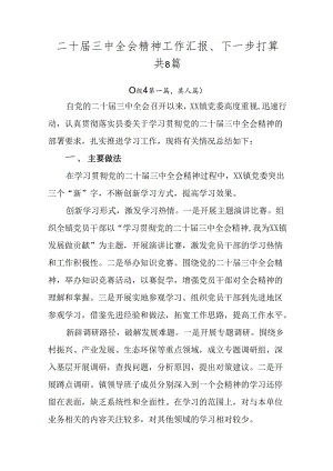 二十届三中全会精神工作汇报、下一步打算共8篇.docx