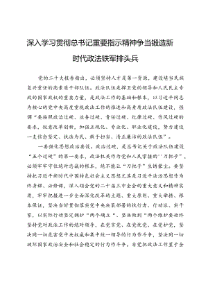 锻造新时代政法铁军研讨交流发言提纲.docx