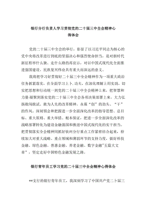 银行分行负责人学习贯彻党的二十届三中全会精神心得体会8篇（最新版）.docx