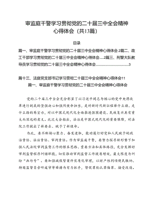 （13篇）审监庭干警学习贯彻党的二十届三中全会精神心得体会范文.docx
