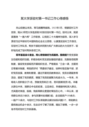 某大学派驻村第一书记工作心得感悟.docx