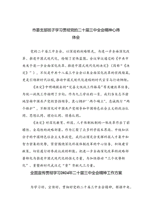（8篇）市委支部班子学习贯彻党的二十届三中全会精神心得体会范文.docx