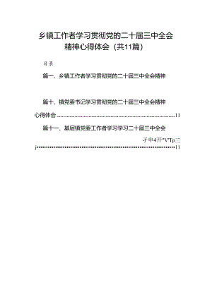 （11篇）乡镇工作者学习贯彻党的二十届三中全会精神心得体会范文.docx