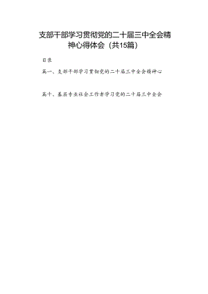 （15篇）支部干部学习贯彻党的二十届三中全会精神心得体会（精选）.docx