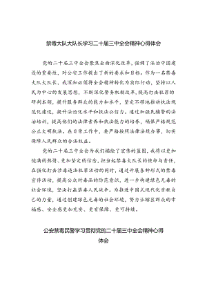 禁毒大队大队长学习二十届三中全会精神心得体会（共五篇）.docx