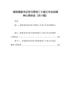 （11篇）镇党委副书记学习贯彻二十届三中全会精神心得体会（精选）.docx