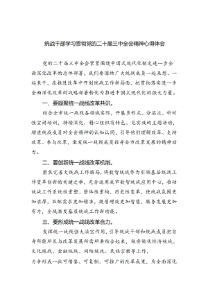 统战干部学习贯彻党的二十届三中全会精神心得体会5篇（精选版）.docx